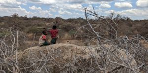 Hunter‑gatherer societies are often put on a pedestal as paragons of equality – but the reality is more complicated