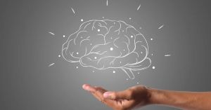 The Human Brain Is Actually Two Organs, Study Shows
