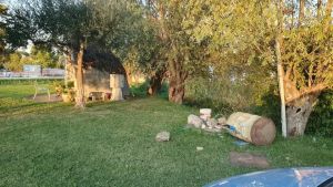 Grotta della Madonna del Bosco vandalizzata, in sindaco: «Non è una ragazzata»