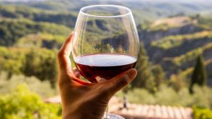 Gambero Rosso Tre Bicchieri 2027, Ripatransone cala il ‘poker’: ecco i 4 vini che entrano tra le eccellenze