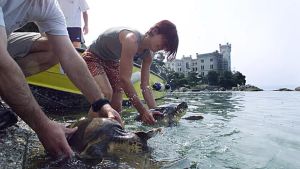 La Riserva marina di Miramare: «Noi gli unici senza un accesso in acqua»