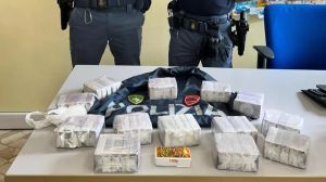 Sei chili di hashish nascosti sotto una siepe al parco: scatta il sequestro a Padova
