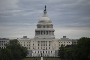 The US Primaries: What They Reveal About November