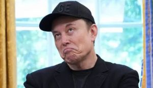 Elon Musk wants to replace ‘AI’ with ‘SI’: What to know