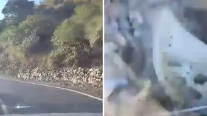 Car plunges into 100-metre ravine in Dehradun, one killed as camera captures crash
