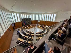 (POGLED) Kolumna Darinke Pavlič Kamien: Tako zmaguje slaba politika