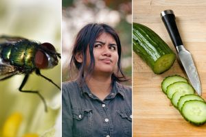 15 awesome, endangered idioms almost no one says anymore, but should