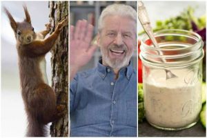 Non-Americans share the 15 strangest things they didn’t expect when visiting the United States