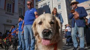 Tra animali benedetti e liberazione in natura, ecco la Festa di San Francesco a Trieste
