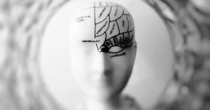 Neuroscience Essentials: Chudler's 