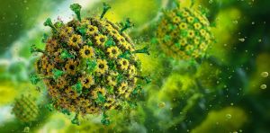 Por qué convivir con infecciones virales crónicas acelera nuestro reloj biológico