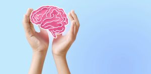 ¿Tenemos dos cerebros?