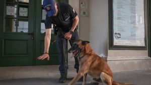 Cocaina nascosta sottoterra e 20.000 dosi di hashish, il fiuto del cane Conan incastra un pusher a Trieste