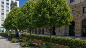 Padova, 15 oasi verdi nel centro storico: il progetto per combattere il caldo estivo
