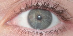 How governments can preserve trust while expanding access to vision care