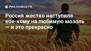 Россия жестко наступила кое-кому на любимую мозоль — и это прекрасно