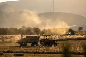Ελληνική επαρχία μόνη, αγρότες ψάχνει