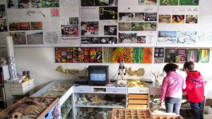 Bufera Reggio Children. Ospiti le scuole ebraiche: 