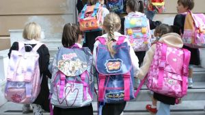 Il calo demografico svuota le scuole: nel Veneziano persi 11mila alunni e chiuse 243 classi