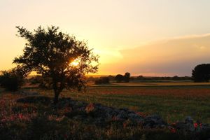 Come avviare un’attività extra-agricola nelle aree rurali dei Comuni Gal Murgia Più