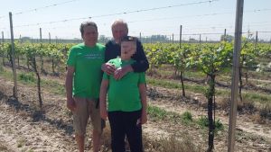 Eroi con i capelli bianchi, babysitter e ‘finanziatori’. La storia di Carlo: “Io, nel vigneto a 88 anni”