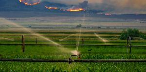 Trois idées reçues sur l’adaptation au changement climatique