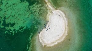 Durch Bodensee-Niedrigwasser taucht Land auf – aber wem gehört das eigentlich?