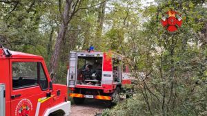 Incendio sul Carso tra l’Obelisco e Monte Grisa: domate le fiamme, situazione sotto controllo