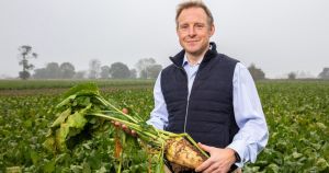 Farmers finally strike contract deal with sugar factory bosses for beet prices