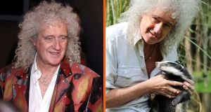 Queen’s Brian May turned 157 acres of private land into a 100,000-tree reserve and animal rescue