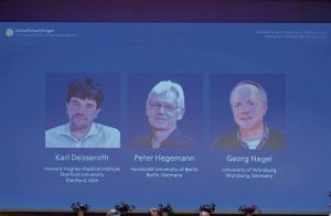 Prix Nobel de médecine : cette découverte sur les mystères du cerveau qui vient récompenser un Américain et deux Allemands