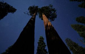Trump’s Repeal of Roadless Rule Would Declare Open Season on Protected Forests