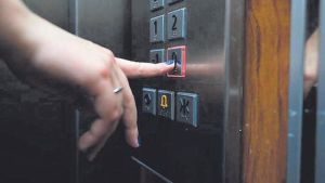 Drama en Gijón: fallece un perro tras quedar atrapado por la puerta de un ascensor