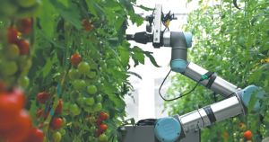 China revela o primeiro robô de melhoramento genético inteligente do mundo