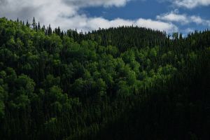 Pour la création d’une Brigade jeunesse pour le climat
