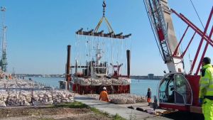 “A giorni arriveranno tonnellate di ostriche”: i “miracoli” della barriera anti-erosione