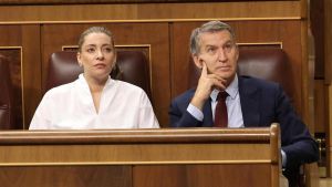 El PP solicita la imputación del PSOE en el caso de la 'fontanera' Leire Díez