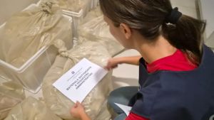 Pesce privo di tracciabilità e scongelato due volte: sequestri e multe nei ristoranti della Bassa Friulana