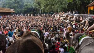 Opinion | The Elephants We Love, The Elephants We Harm