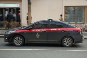 Мать 18-летней девушки, погибшей на переходе, просит руководство СК о помощи