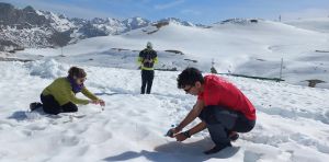 Un nuevo estudio revela que los microplásticos pueden hacer que la nieve se derrita más rápido