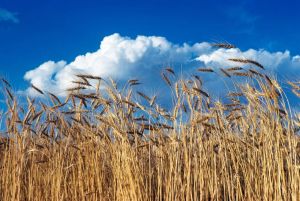 Why the summer season never ends