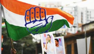 The Ally Congress Swallows