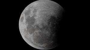Il 7 ottobre la Toscana col naso all’insù: arrivano Luna piena e stelle cadenti