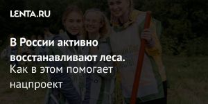 В России активно восстанавливают леса.