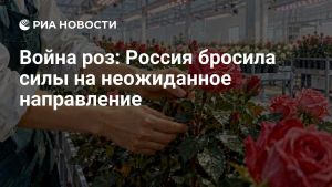 Война роз: Россия бросила силы на неожиданное направление