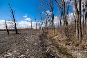 Mettez l’environnement en haut de la pile