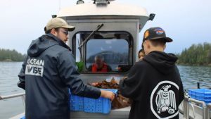 BC knows how to help its kelp forests recover. Ottawa needs to make room