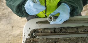 Sur les friches industrielles, des bactéries ont appris à se nourrir de la pollution