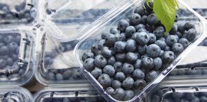 Conserver les aliments périssables sans emballages plastiques : où en est‑on ?